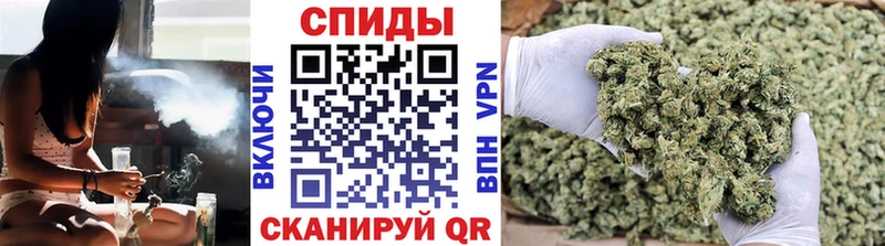 где найти   Аргун  БУТИРАТ Butirat 