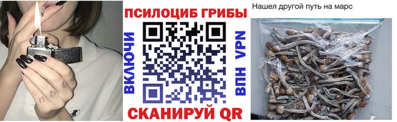 Галлюциногенные грибы мухоморы Аргун